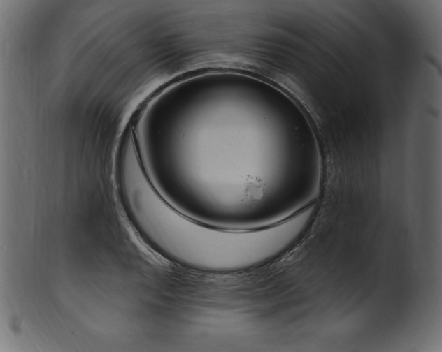 X0000102041128200807181506
