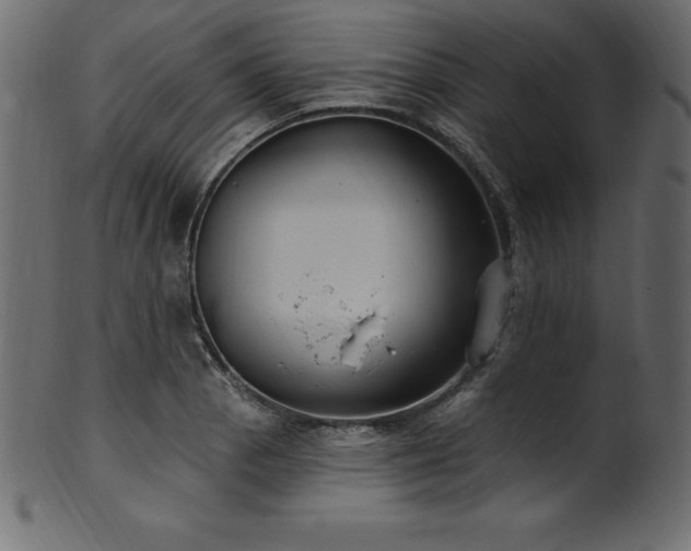X0000102041129200807181506