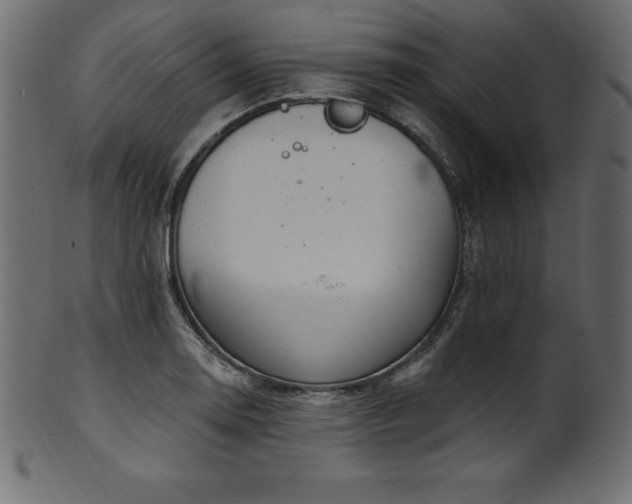 X0000102041130200807181506