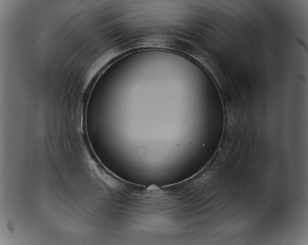 X0000102041131200807181506