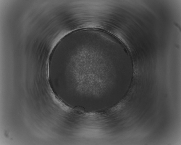 X0000102041132200807181506