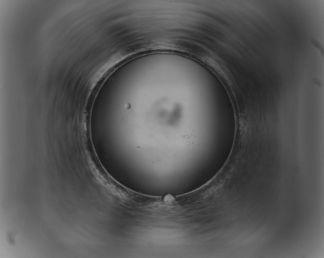 X0000102041133200807181506