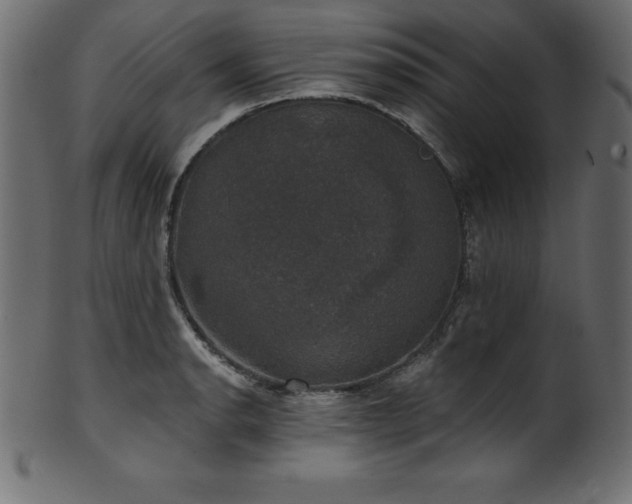 X0000102041134200807181507