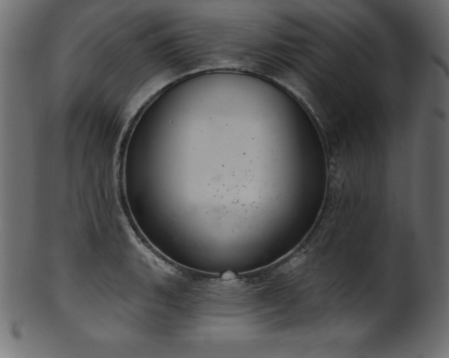 X0000102041135200807181507
