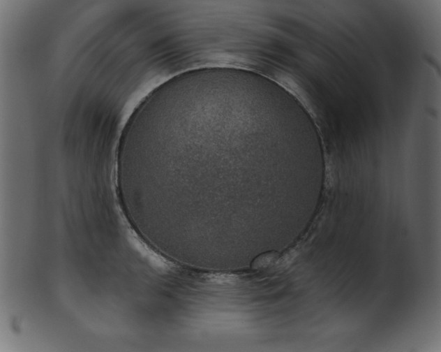 X0000102041136200807181507