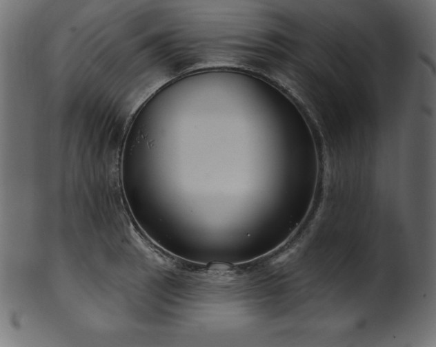 X0000102041137200807181507