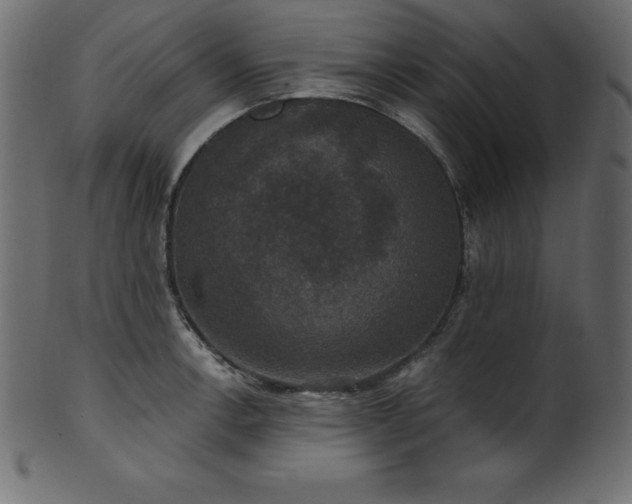 X0000102041138200807181507