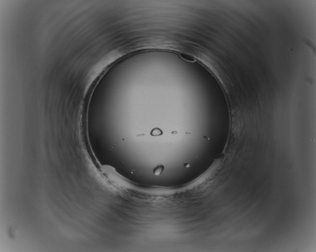 X0000102041139200807181507