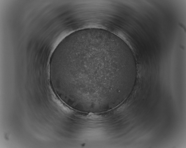 X0000102041140200807181507