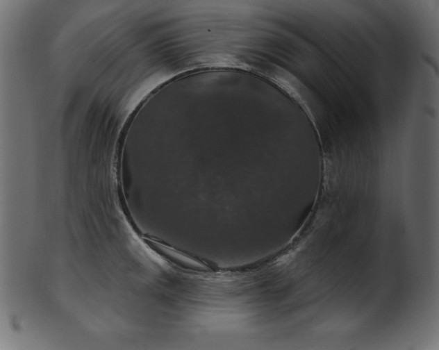 X0000102041141200807181507