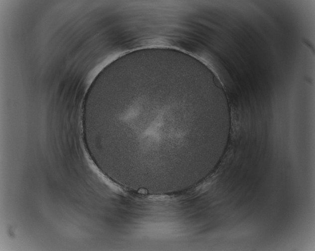 X0000102041142200807181507