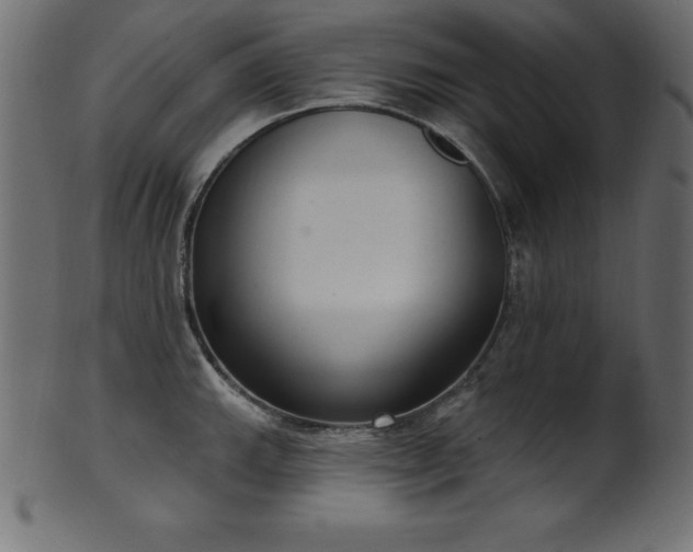 X0000102041143200807181507