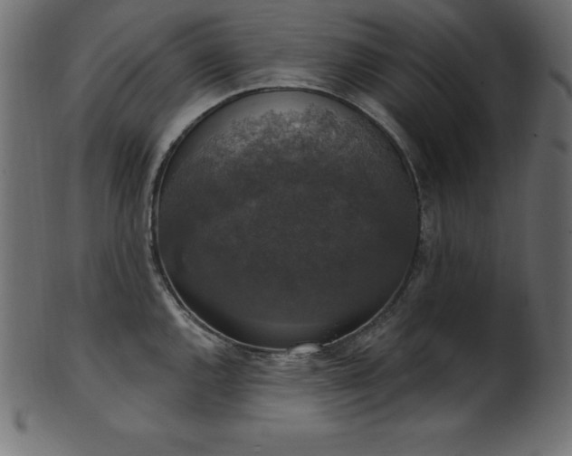 X0000102041144200807181507