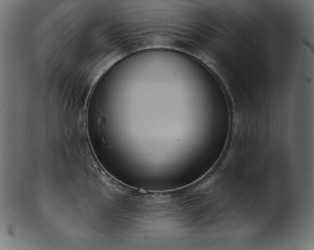 X0000102041145200807181507