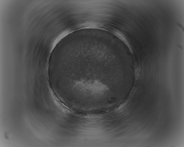 X0000102041146200807181507