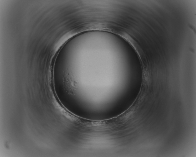 X0000102041147200807181507