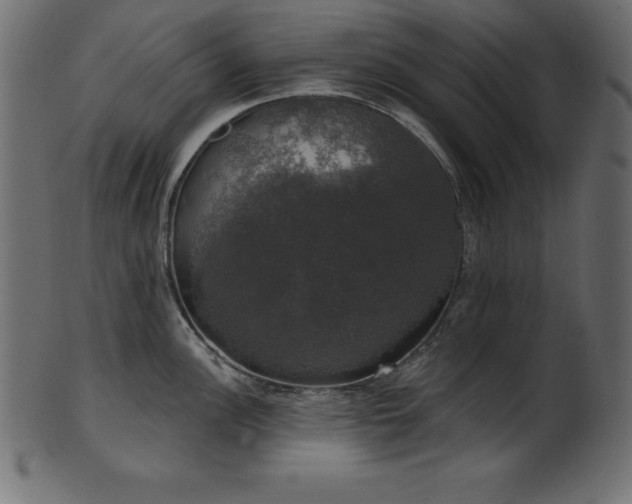 X0000102041148200807181507