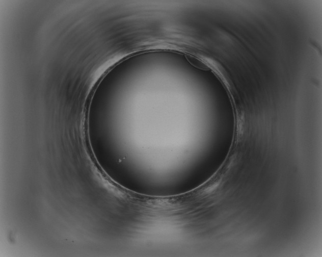 X0000102041149200807181507