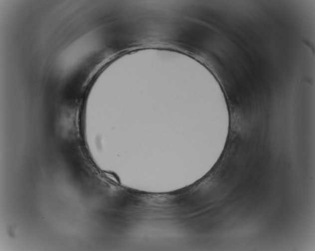 X0000102041150200807181507
