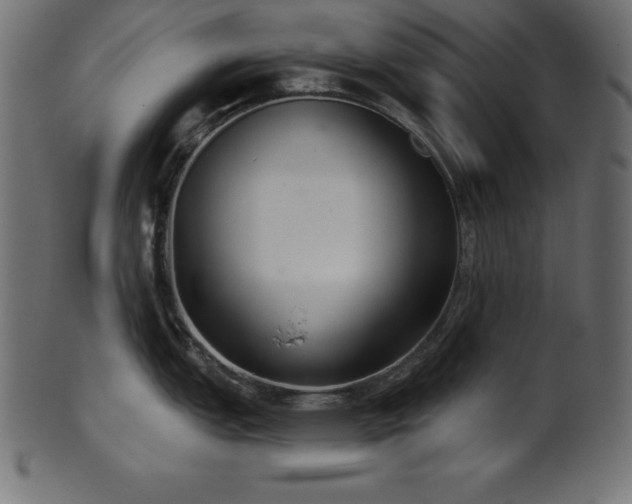 X0000102041151200807181507