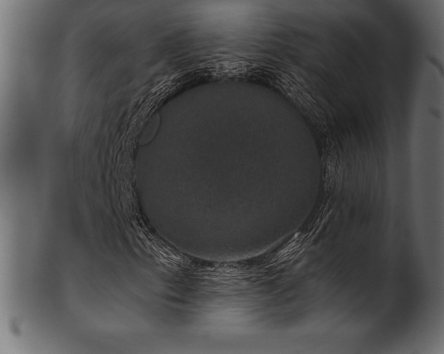 X0000102041153200807181506