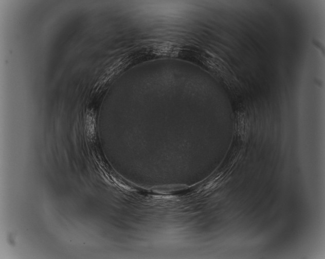 X0000102041154200807181506
