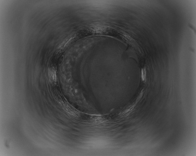 X0000102041155200807181506