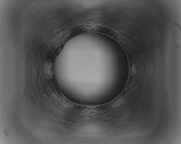 X0000102041156200807181506