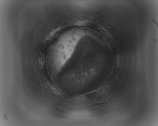 X0000102041158200807181506