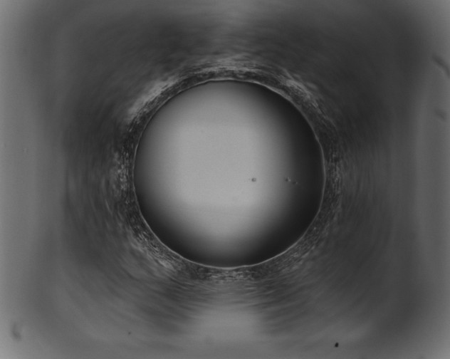 X0000102041159200807181506