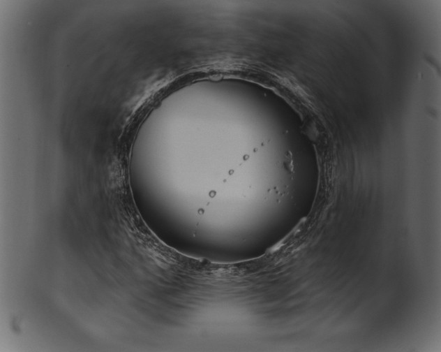 X0000102041160200807181506