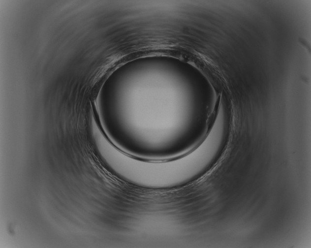 X0000102041161200807181506