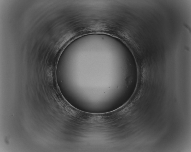 X0000102041162200807181506