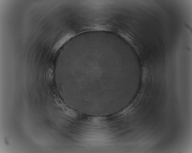 X0000102041163200807181506