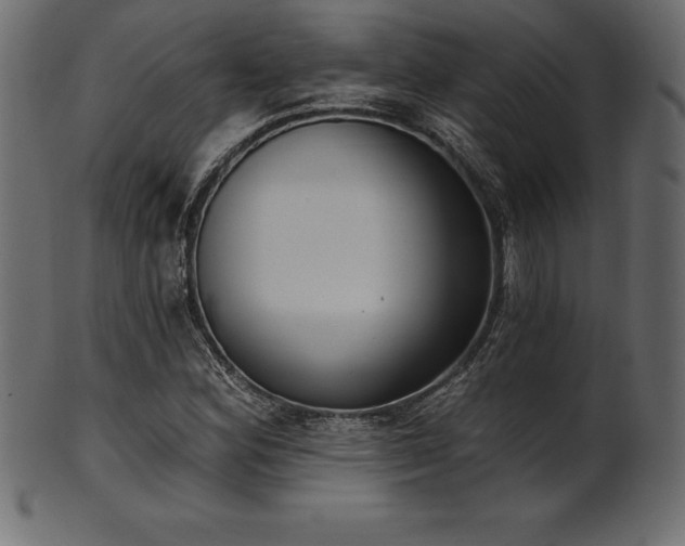 X0000102041164200807181506