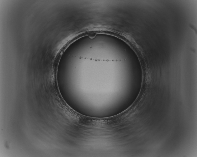 X0000102041167200807181506