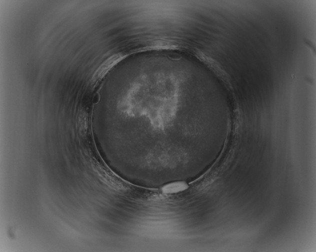 X0000102041169200807181506