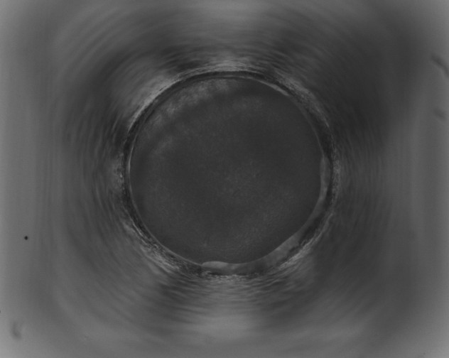 X0000102041170200807181506