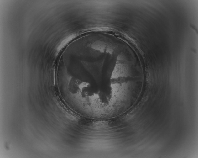 X0000102041171200807181506