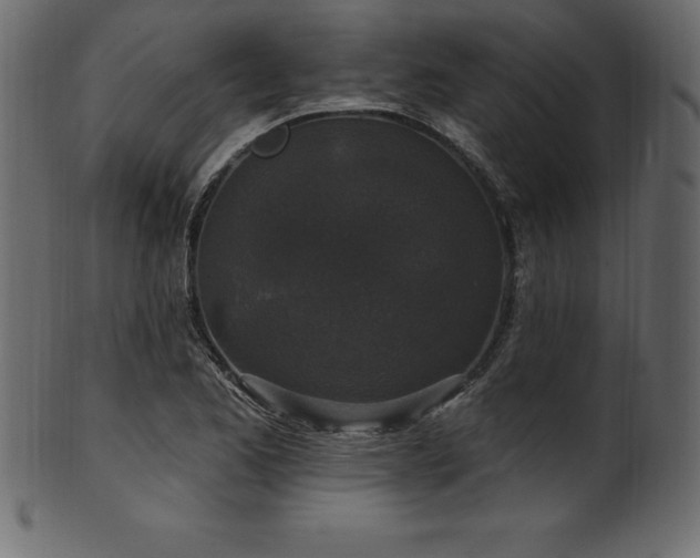 X0000102041173200807181506