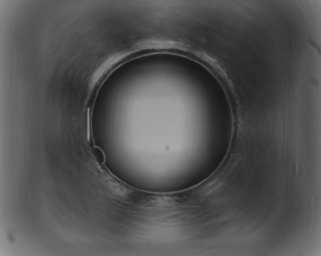 X0000102041175200807181506