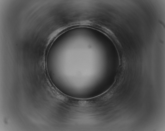 X0000102041176200807181506