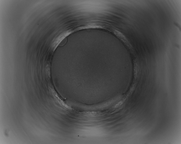 X0000102041177200807181506
