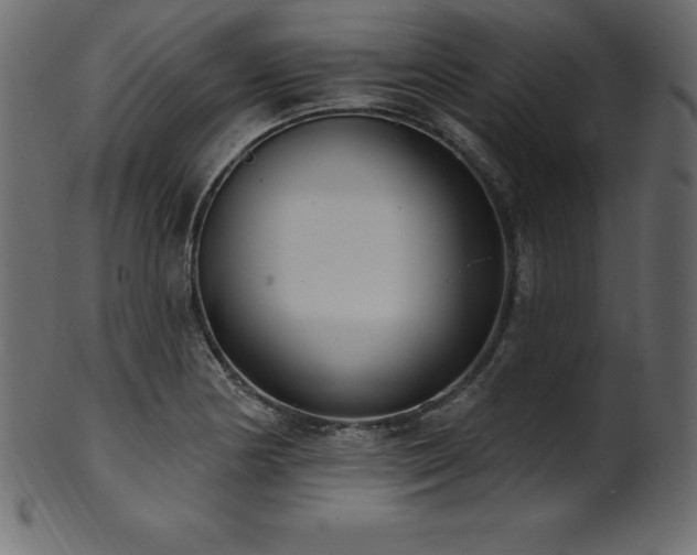 X0000102041178200807181506
