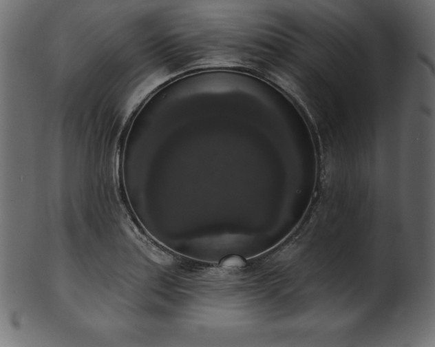 X0000102041179200807181506