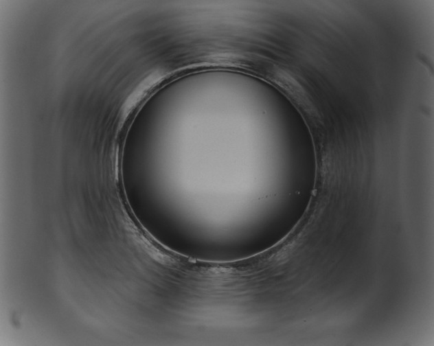 X0000102041180200807181506