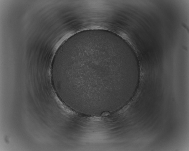 X0000102041181200807181506