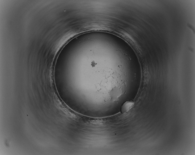 X0000102041182200807181506