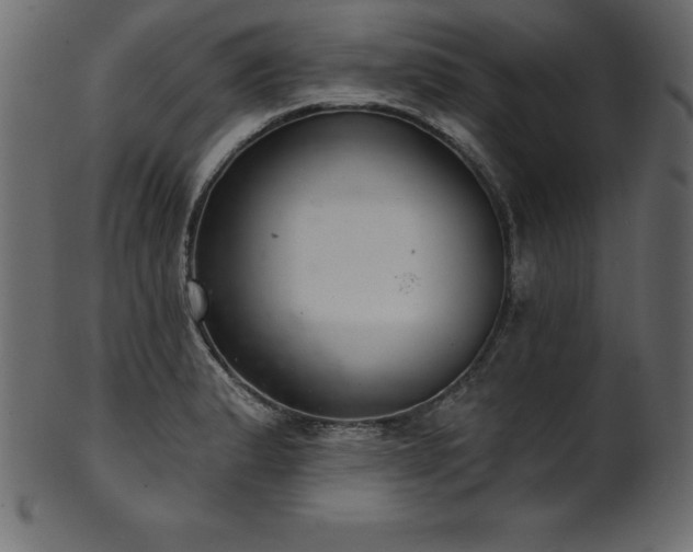 X0000102041183200807181505