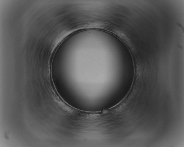 X0000102041184200807181505